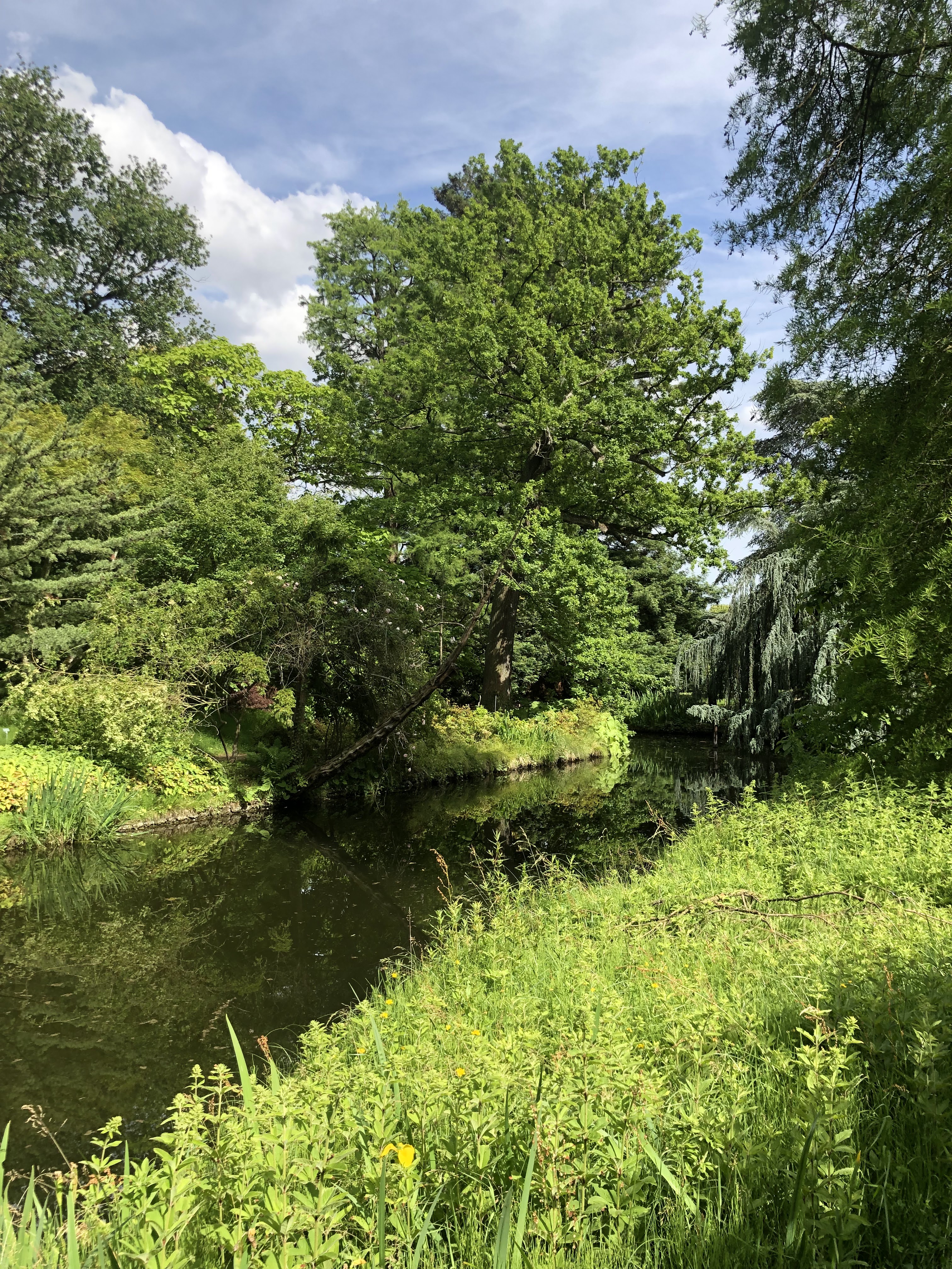 Photo n° 21 de l'avis de Denis.u fait le 18/06/2019 à 20:16