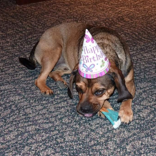 Plumber «Morgan Miller Plumbing», reviews and photos, 13911 Norby Rd, Grandview, MO 64030, USA