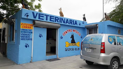 Pets Health And Care (clinica Veterinaria)