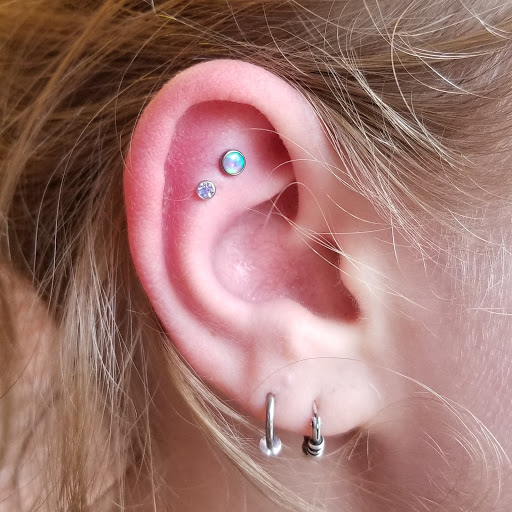 Explore lion and lioness tattoo ideas, creative tattoo ideas in Fort Collins, available at Parabrahma Tattoo Collective