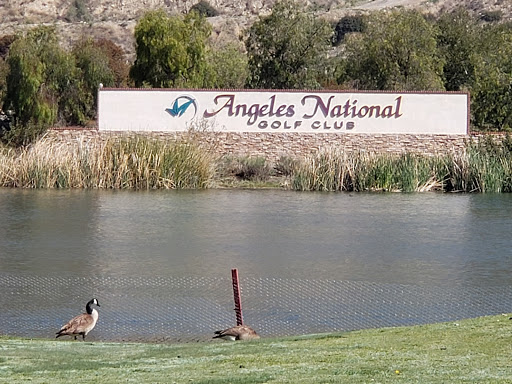 Golf Club «Angeles National Golf Course», reviews and photos, 9401 Foothill Blvd. Sunland, Sunland-Tujunga, CA 91040, USA
