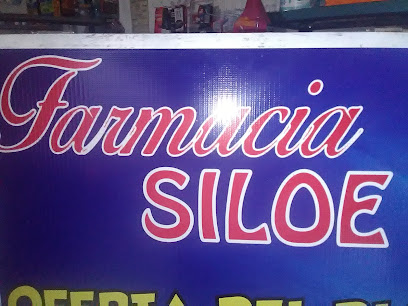 Farmacia Siloe 62980, Avenida Morelos 374, Col De Los Presidentes, 62980 Tlaquiltenango, Mor. Mexico