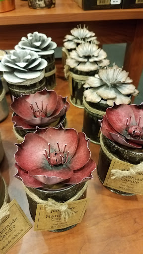 Book Store «Barnes & Noble», reviews and photos, 300 Monticello Ave, Norfolk, VA 23510, USA