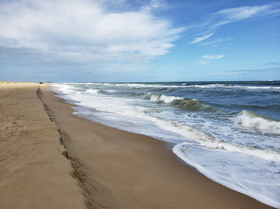 Cape Hatteras beach