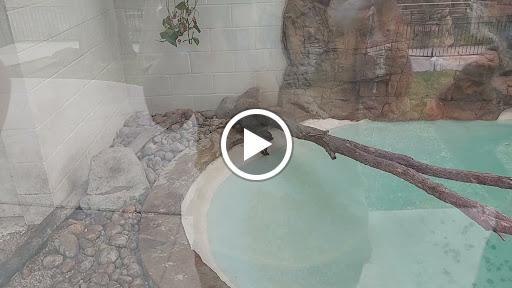 Zoo «Frank Buck Zoo», reviews and photos, 1000 W California St, Gainesville, TX 76240, USA