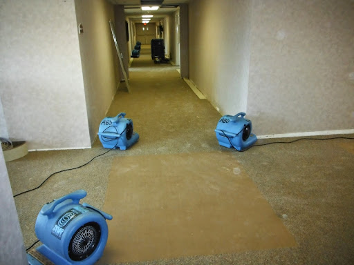 Carpet Cleaning Service «Castle Keepers Carpet Cleaning & Flood Restoration, Inc.», reviews and photos, 1583 S Belcher Rd a, Clearwater, FL 33764, USA