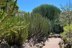 Botanical Garden Entrada Superior image