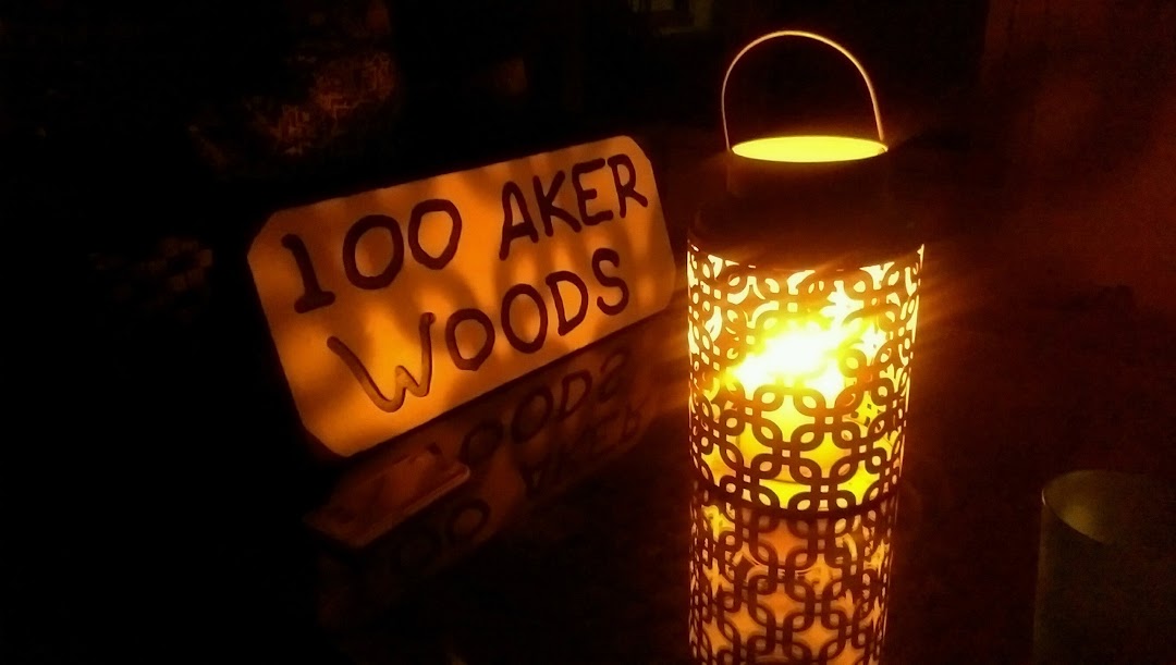 100 aker woods