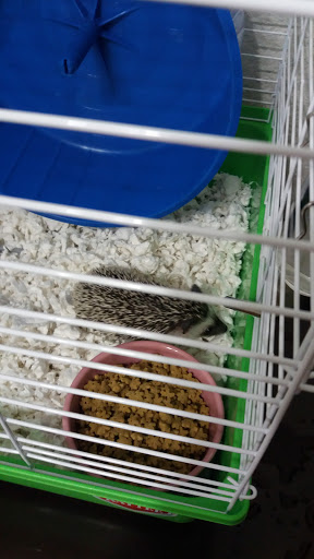 Pet Store «Wildside Pets», reviews and photos, 1042 N Higley Rd #105, Mesa, AZ 85205, USA