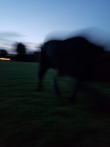 Park «Sage Creek Park», reviews and photos, 9500 Civic Center Dr, Thornton, CO 80229, USA