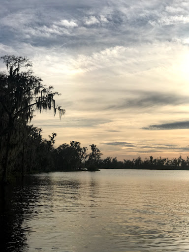 City Park «Palatlakaha Recreation Park», reviews and photos