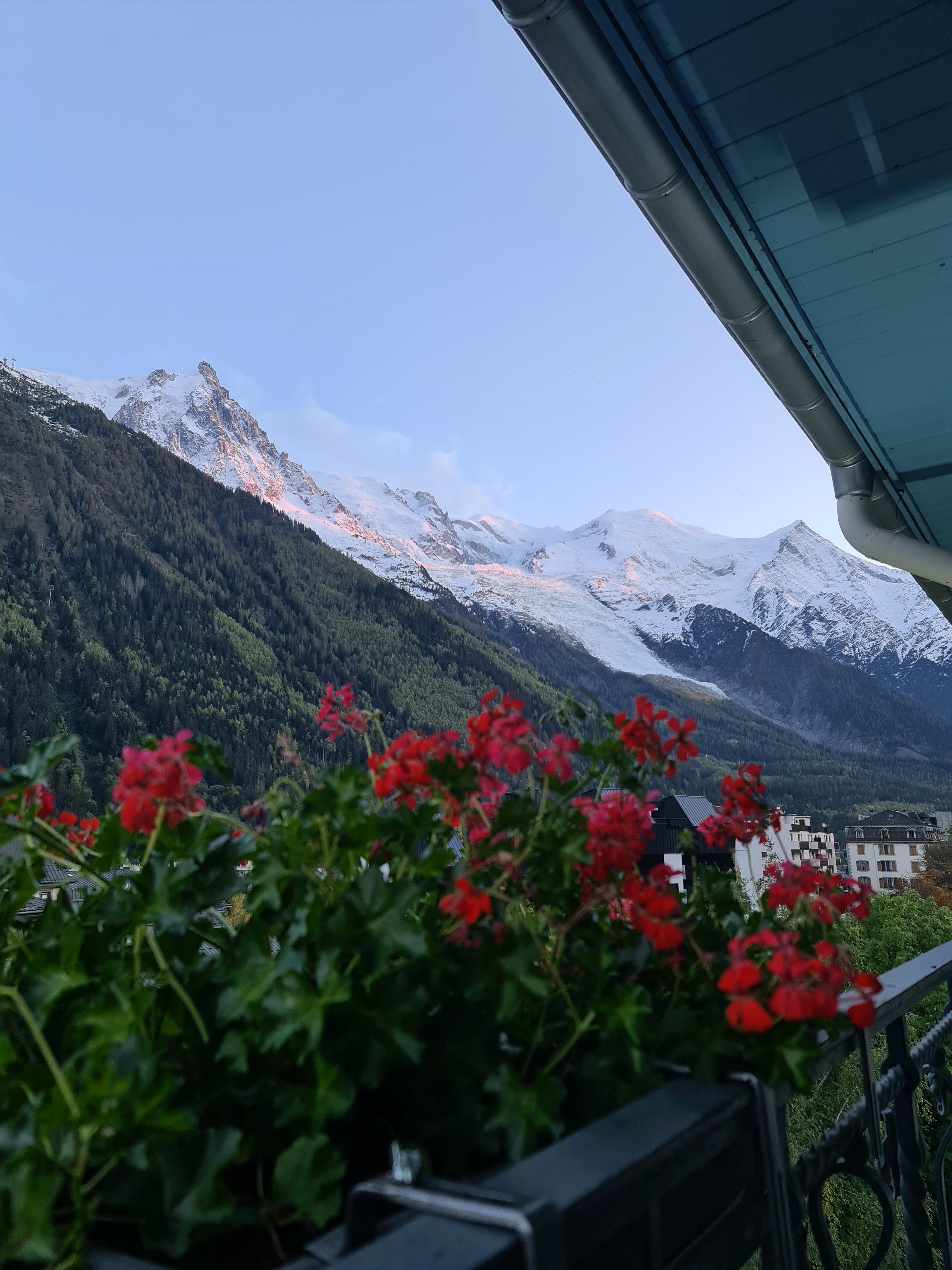 Photo n° 4 de l'avis de Mickael.a fait le 14/10/2020 à 16:00