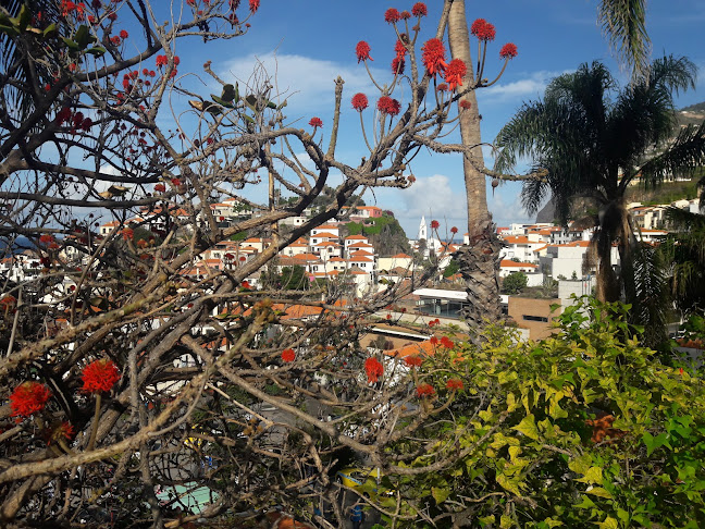 Estrada Monumental 372, 9000-116 Funchal