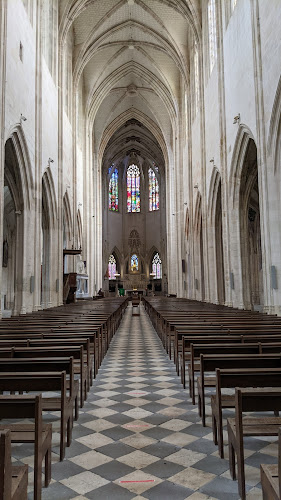 Basilique royale Notre-Dame-de-Cléry à Cléry-Saint-André