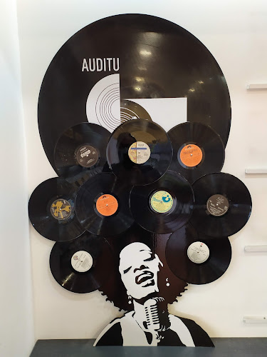 CDV - AUDITU MUSIC STORE - Loja de instrumentos musicais