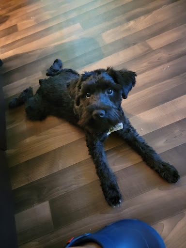 Pet Supply Store «Petco Animal Supplies», reviews and photos, 2250 Petrie Ln #518, Lanham, MD 20706, USA