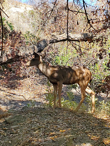 Park «Borrego Canyon Overlook Park», reviews and photos, 21 Viaggio Ln, Foothill Ranch, CA 92610, USA