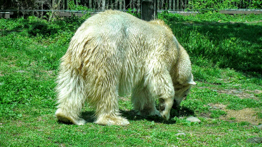 Zoo «Bear Country», reviews and photos, N 34th St, Philadelphia, PA 19104, USA