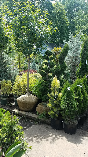 Garden Center «Westminster Nursery & Florist», reviews and photos, 30 Westminster Rd, West Hempstead, NY 11552, USA