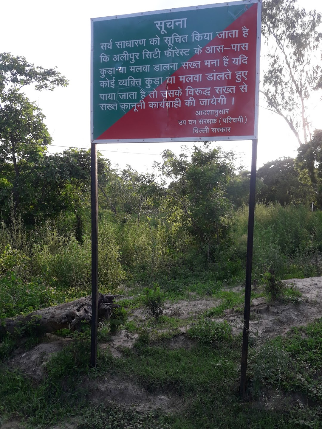 Alipur City Forest
