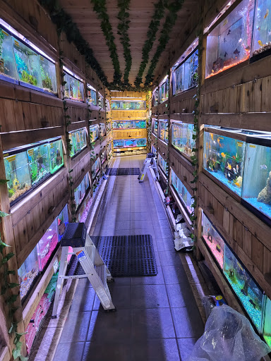 Pet Store «Critter Pet Shop», reviews and photos, 19309 Ecorse Rd, Allen Park, MI 48101, USA