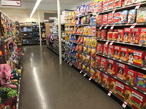 Pet Supply Store «Pet Supplies Plus», reviews and photos, 5230 S Westnedge Ave, Portage, MI 49002, USA