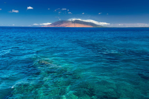 Travel Agency «Travelcom Travel Agency», reviews and photos, 18314 Beach Blvd, Huntington Beach, CA 92648, USA