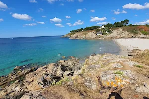 Anse de Rospico image