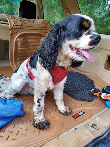 Park «Northacres Park», reviews and photos, 12718 1st Ave NE, Seattle, WA 98125, USA