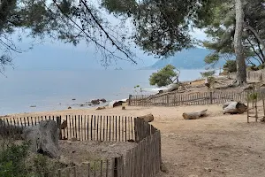 Parc de Saint mandrier sur mer image