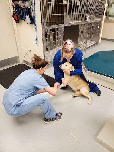 VCA Boulder Terrace Animal Hospital image
