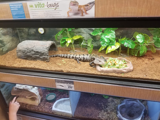 Pet Supply Store «Petco Animal Supplies», reviews and photos, 717 SE Geary St #101, Albany, OR 97321, USA