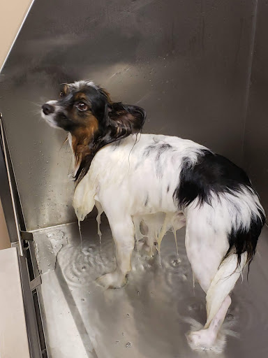 Pet Supply Store «Lemos Feed & Pet Supply», reviews and photos, 1320 Main St, Morro Bay, CA 93442, USA