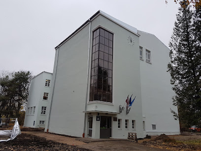 Rīgas Igauņu pamatskola