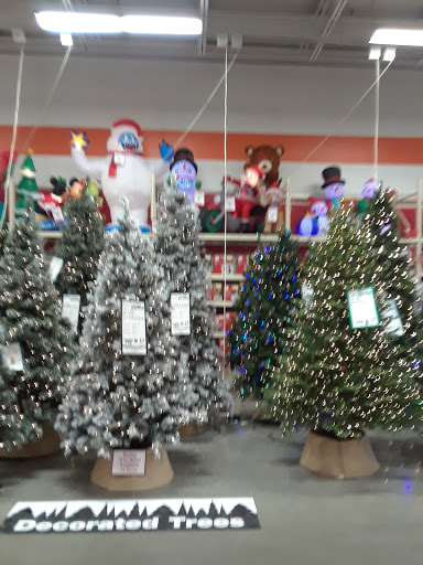 Home Improvement Store «The Home Depot», reviews and photos, 11100 Telegraph Rd, Taylor, MI 48180, USA