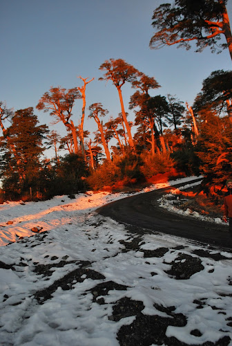 Camino Al Volcan Pucon - Agencia de viajes