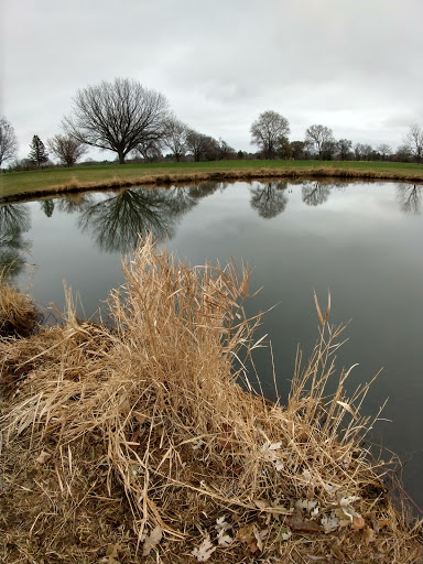 Golf Course «Hiawatha Golf Course», reviews and photos, 4553 Longfellow Ave, Minneapolis, MN 55407, USA