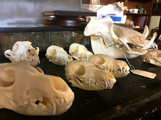 Art Gallery «Dysfunctional Grace Art Co», reviews and photos, 1903 E 7th Ave, Tampa, FL 33605, USA