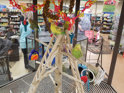 Pet Supply Store «Petco Animal Supplies», reviews and photos, 1412 S Main Chapel Way, Gambrills, MD 21054, USA