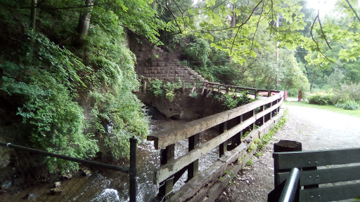 Corbetts Glen Nature Park image 10