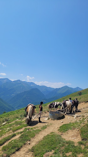 Les chevaux de la Spone - Balade & randonnée à cheval - Cours d'équitation - Elevage à Balacet