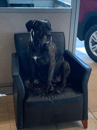 Car Dealer «Mark Sweeney Buick GMC», reviews and photos, 3365 Highland Ave, Cincinnati, OH 45213, USA