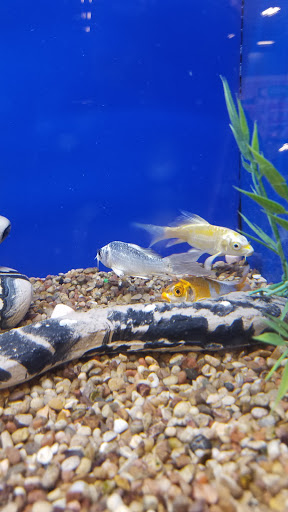 Pet Supply Store «PetSmart», reviews and photos, 8695 Park Meadows Center Dr, Lone Tree, CO 80124, USA