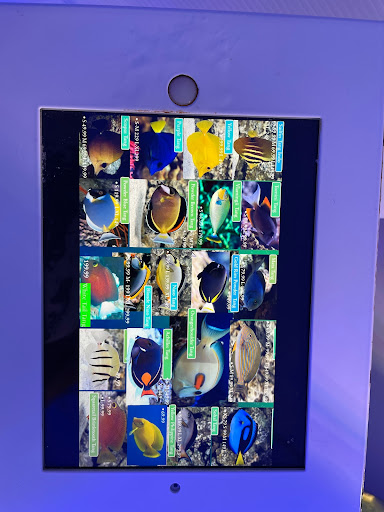 Pet Store «Sea King Aquariums», reviews and photos, 12005 NE 12th St #29, Bellevue, WA 98005, USA