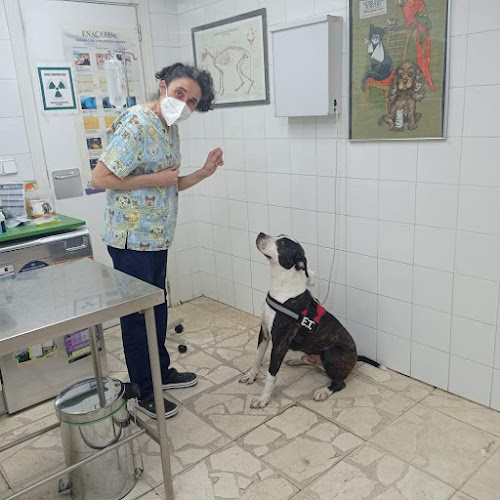 Centro Veterinario Oroquieta