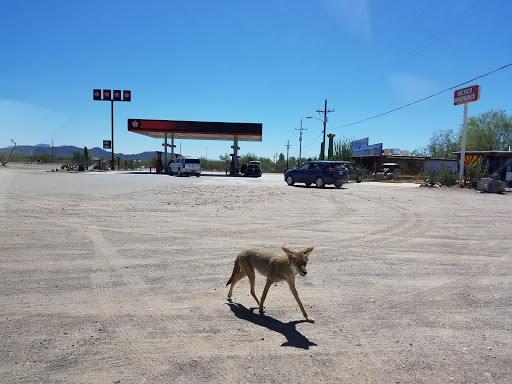 Convenience Store «Why Not Travel Store», reviews and photos