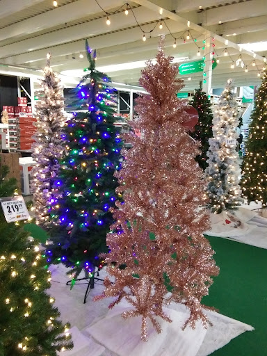 Home Improvement Store «Menards», reviews and photos, 6301 Oakton St, Morton Grove, IL 60053, USA