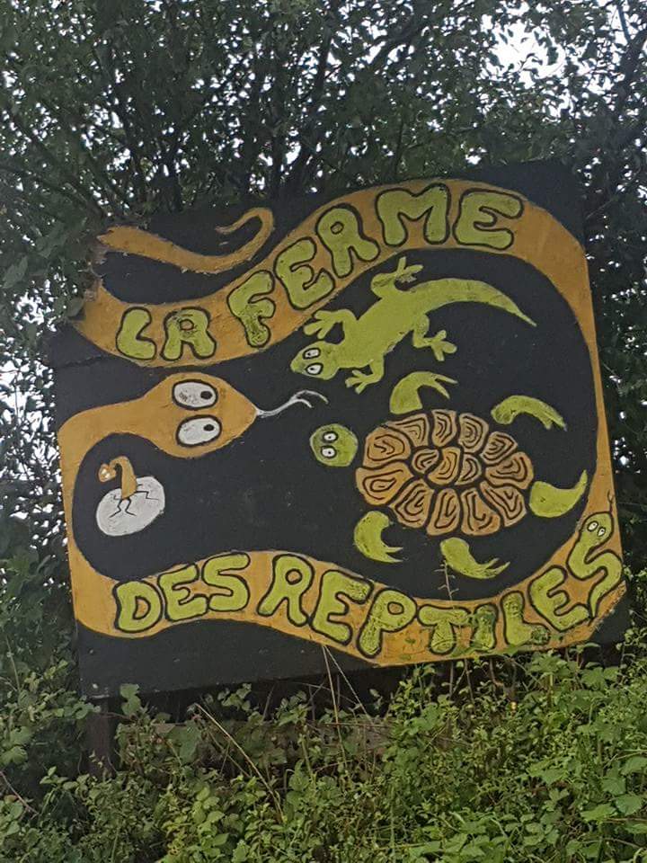 Photo n° 1 de l'avis de Dovy. fait le 21/07/2017 à 19:29