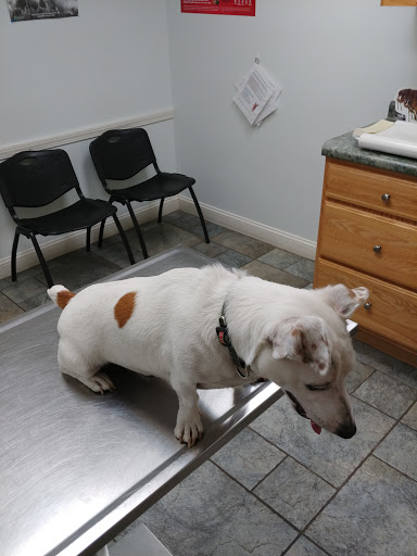 Tower Hill Animal Hospital image