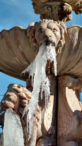 Gym «Fitness Now», reviews and photos, 6801 Rufe Snow Dr #300, Watauga, TX 76148, USA